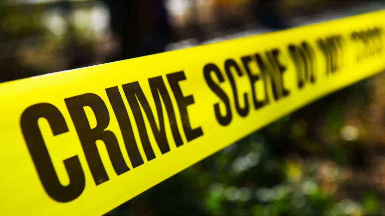 Crime Scene HBfWLP