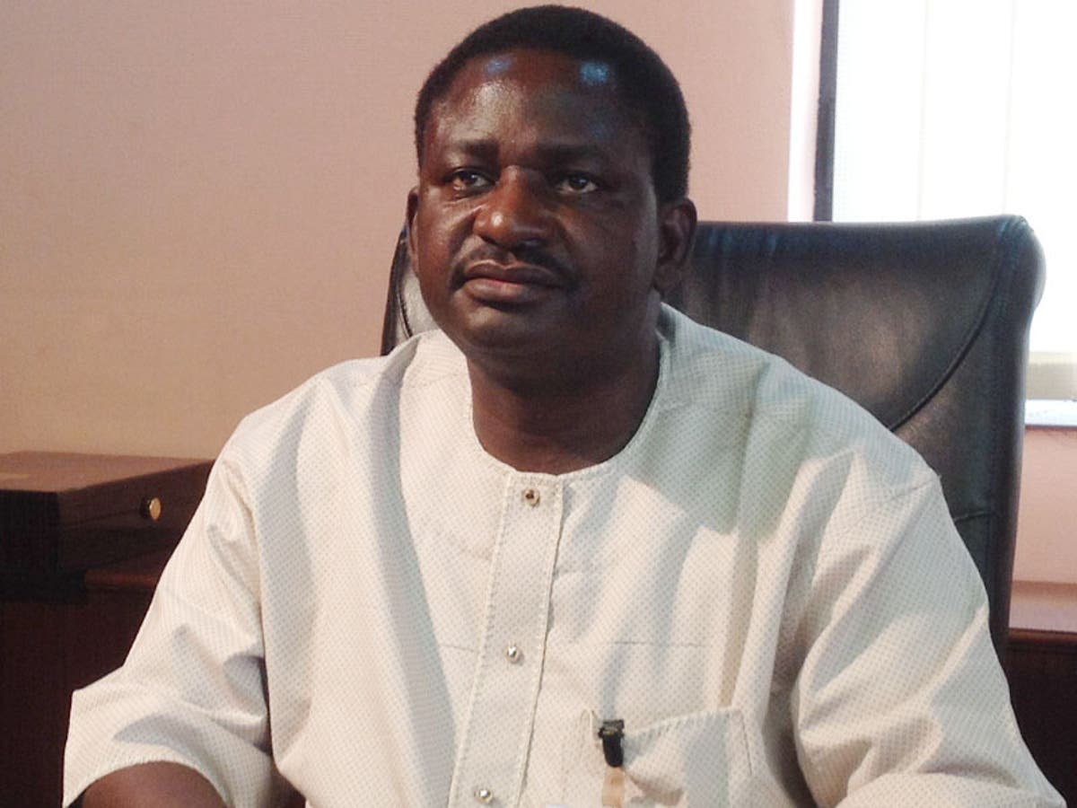 Femi Adesina TDfUkA