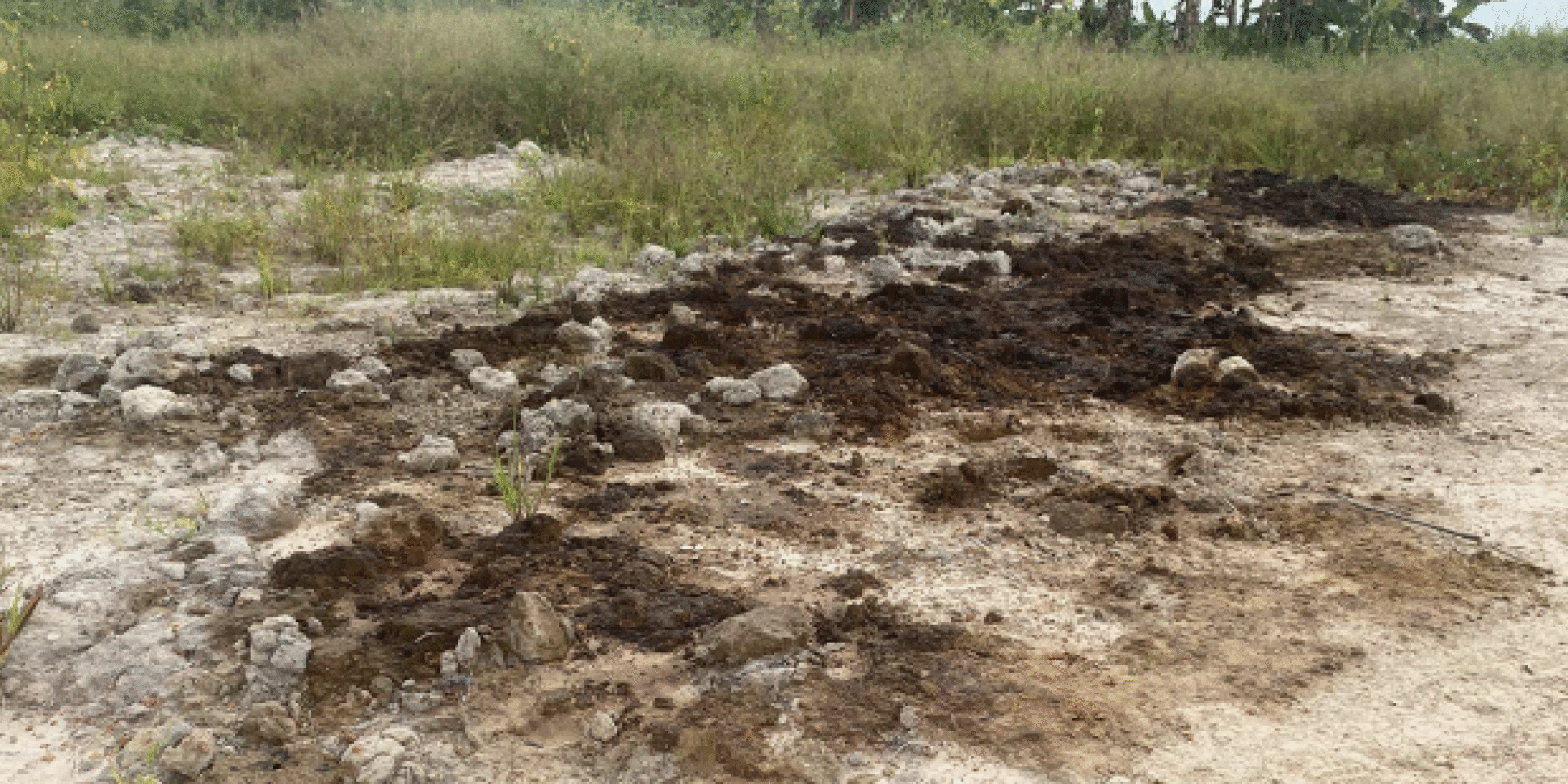 Niger Delta Communities Battle Diarrhoea Scabies Acute Hunger Insecurity Caused By Oil Spill Pipeline Vandalism Neglect Part 1