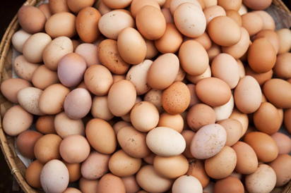 Eggs Mc5xc6