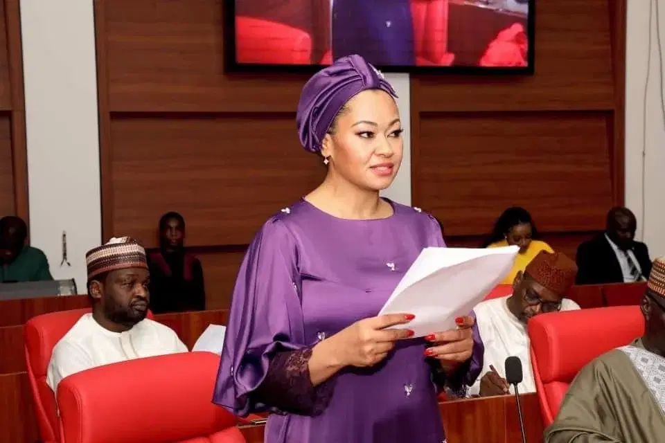 Natasha Akpoti At Senate 1 GFDAju