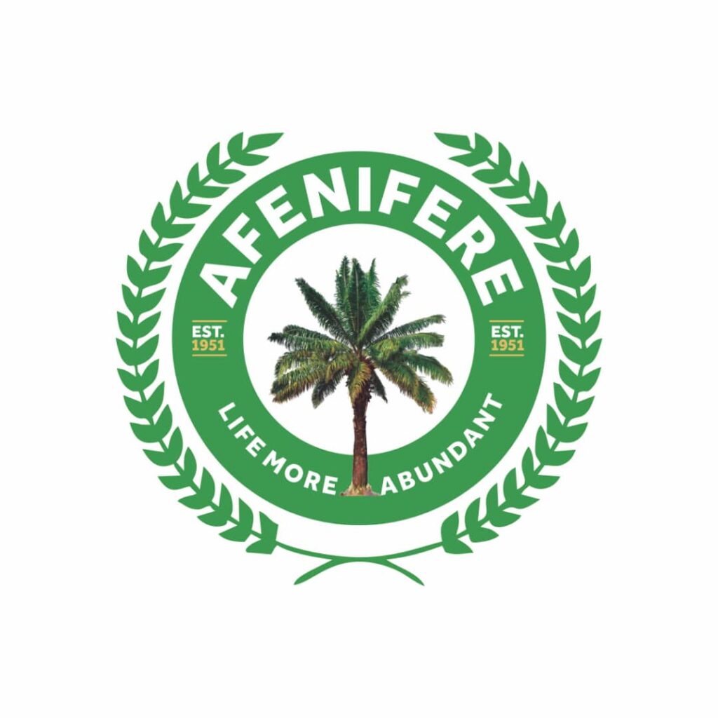 Afenifere 1024x1024 NZowm6