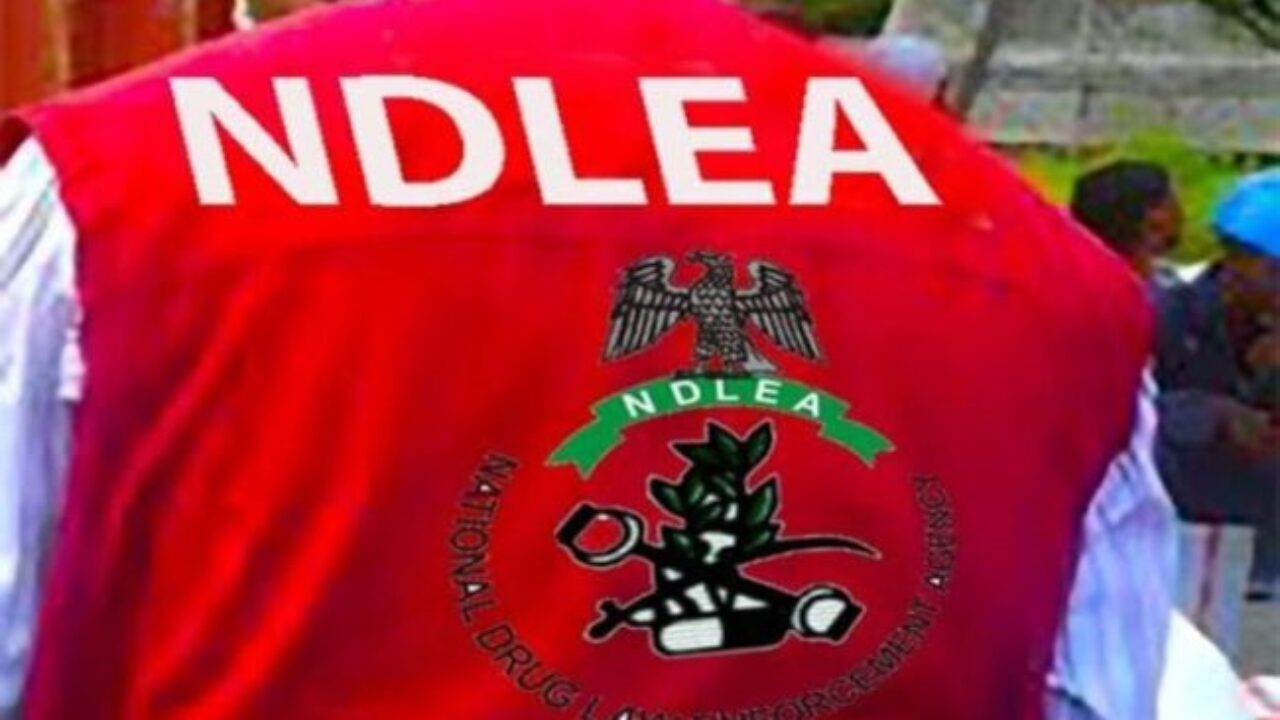 NDLEA 1 PtNeTB