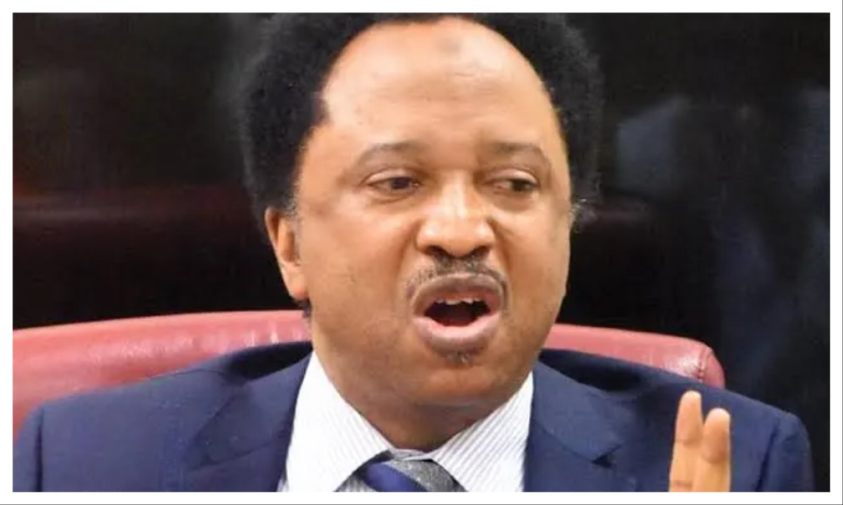 Shehu Sani KoWEqq