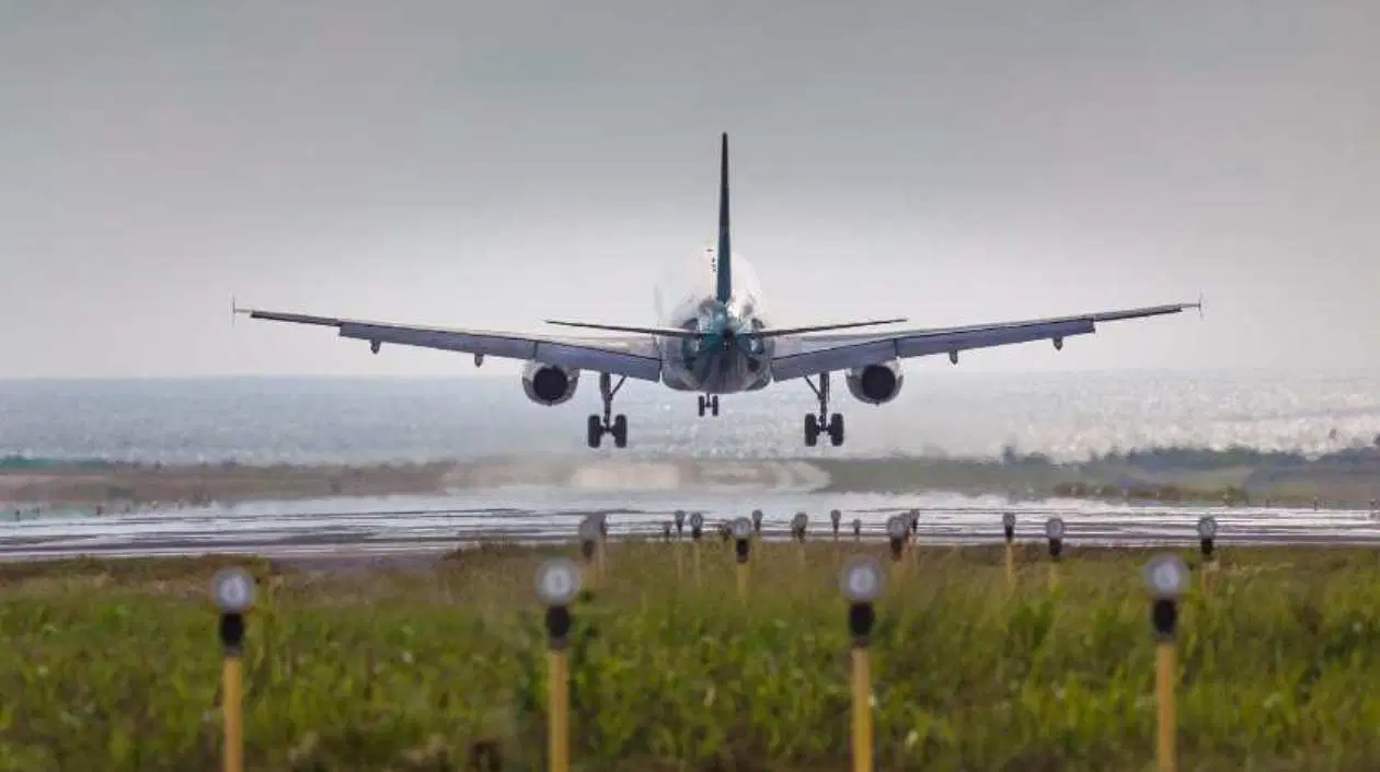 Airplane FmsdLT