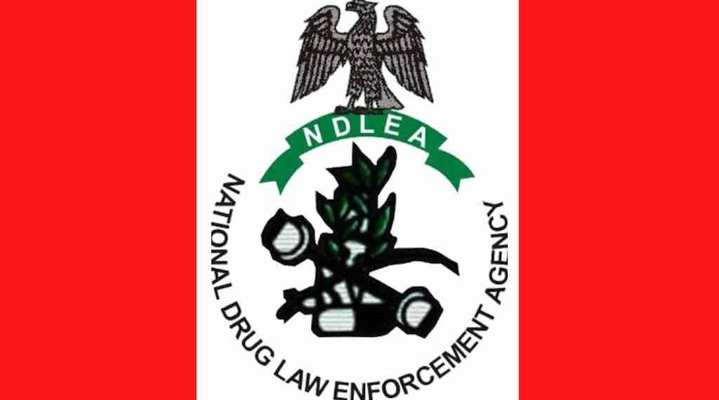 NDLEA Logo Zg0351