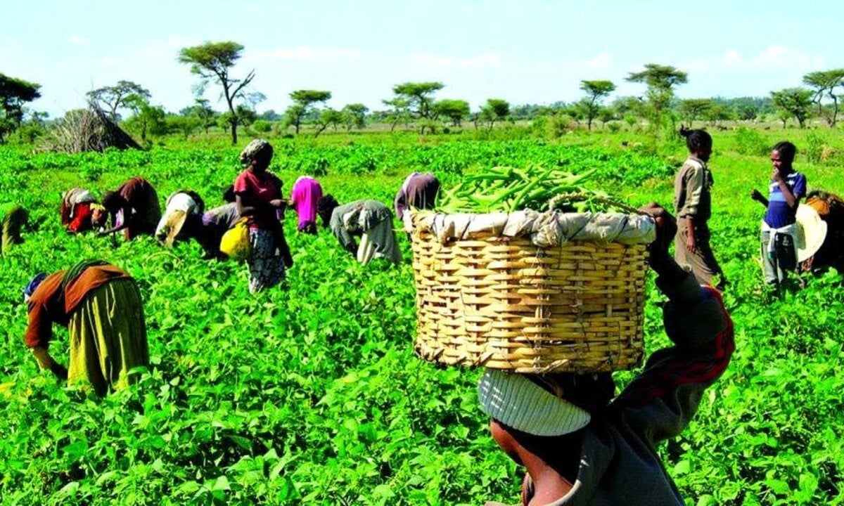 Farmers At Work In Their Various SMIxvL